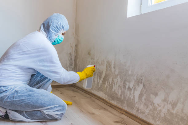 Licensed Mold Remediation service in Watertown, TN - WQB Mold Removal