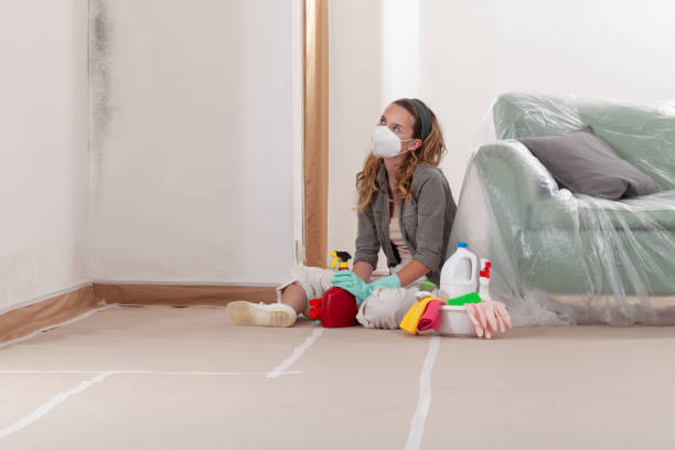 Reliable Mold Remediation contractor in Watertown, TN by WQB Mold Removal